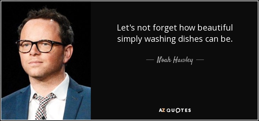 Let's not forget how beautiful simply washing dishes can be. - Noah Hawley