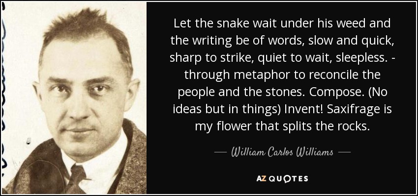 Let the snake wait under his weed and the writing be of words, slow and quick, sharp to strike, quiet to wait, sleepless. - through metaphor to reconcile the people and the stones. Compose. (No ideas but in things) Invent! Saxifrage is my flower that splits the rocks. - William Carlos Williams