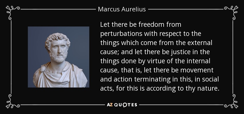 Let there be freedom from perturbations with respect to the things which come from the external cause; and let there be justice in the things done by virtue of the internal cause, that is, let there be movement and action terminating in this, in social acts, for this is according to thy nature. - Marcus Aurelius