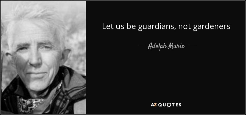 Let us be guardians, not gardeners - Adolph Murie