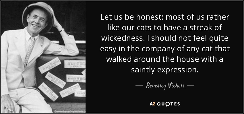 Let us be honest: most of us rather like our cats to have a streak of wickedness. I should not feel quite easy in the company of any cat that walked around the house with a saintly expression. - Beverley Nichols