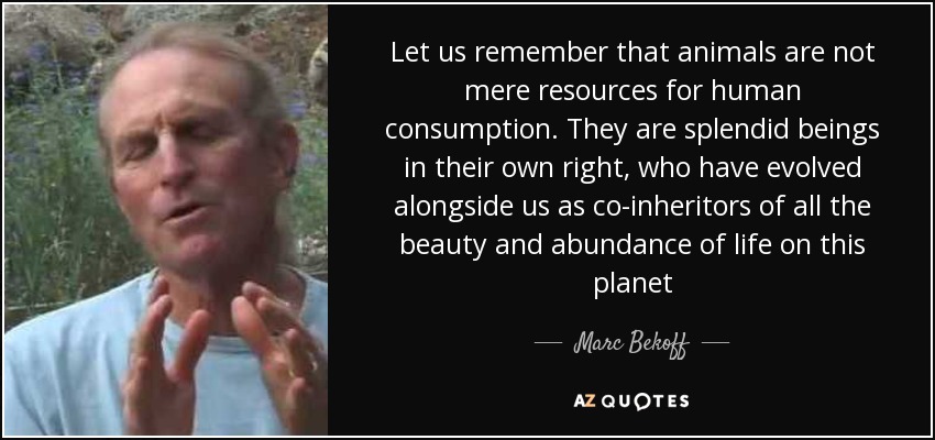 Let us remember that animals are not mere resources for human consumption. They are splendid beings in their own right, who have evolved alongside us as co-inheritors of all the beauty and abundance of life on this planet - Marc Bekoff
