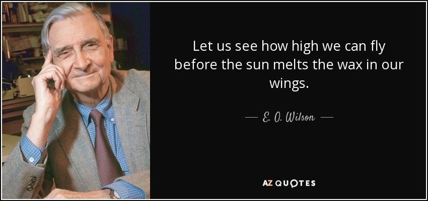 Let us see how high we can fly before the sun melts the wax in our wings. - E. O. Wilson