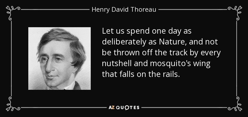 Let us spend one day as deliberately as Nature, and not be thrown off the track by every nutshell and mosquito's wing that falls on the rails. - Henry David Thoreau