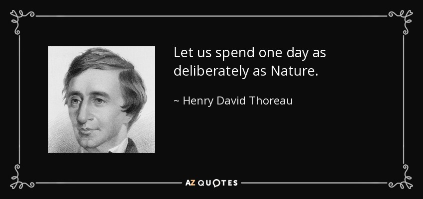 Let us spend one day as deliberately as Nature. - Henry David Thoreau