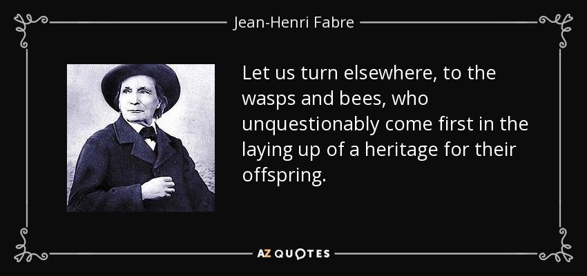 Let us turn elsewhere, to the wasps and bees, who unquestionably come first in the laying up of a heritage for their offspring. - Jean-Henri Fabre