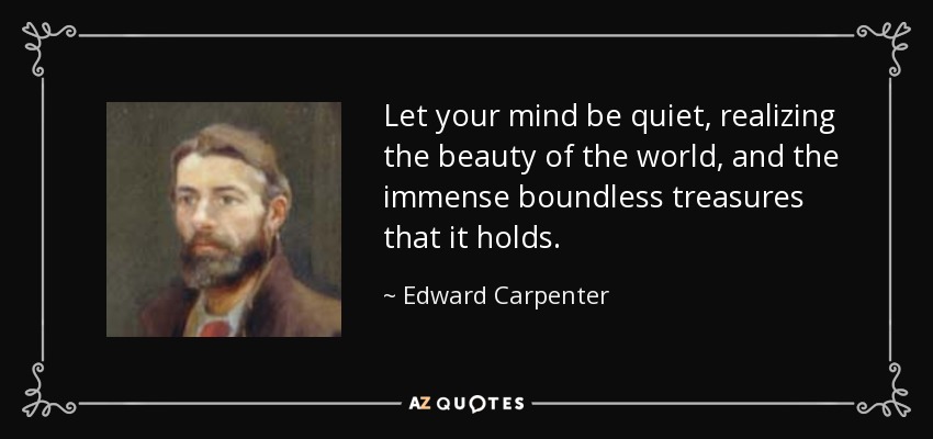 Let your mind be quiet, realizing the beauty of the world, and the immense boundless treasures that it holds. - Edward Carpenter