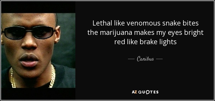 Lethal like venomous snake bites the marijuana makes my eyes bright red like brake lights - Canibus