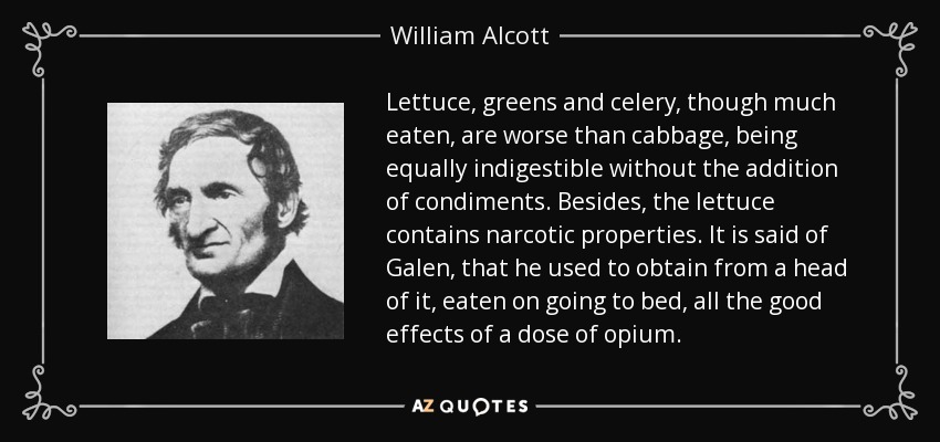 Lettuce, greens and celery, though much eaten, are worse than cabbage, being equally indigestible without the addition of condiments. Besides, the lettuce contains narcotic properties. It is said of Galen, that he used to obtain from a head of it, eaten on going to bed, all the good effects of a dose of opium. - William Alcott