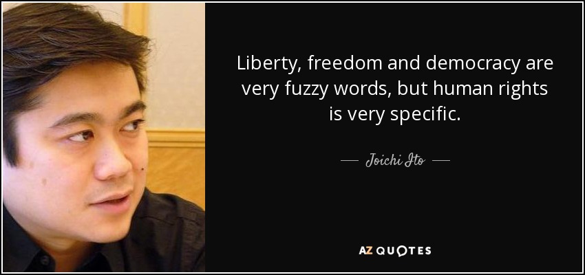 Liberty, freedom and democracy are very fuzzy words, but human rights is very specific. - Joichi Ito