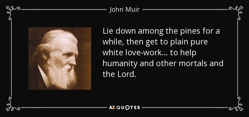 Lie down among the pines for a while, then get to plain pure white love-work ... to help humanity and other mortals and the Lord. - John Muir