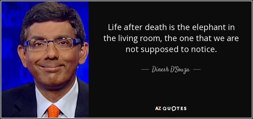 Life after death is the elephant in the living room, the one that we are not supposed to notice. - Dinesh D'Souza
