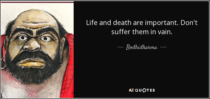 Life and death are important. Don't suffer them in vain. - Bodhidharma