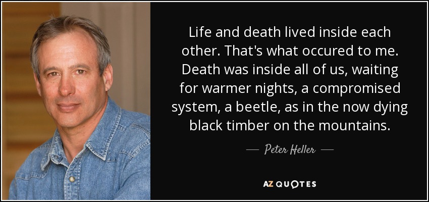 Life and death lived inside each other. That's what occured to me. Death was inside all of us, waiting for warmer nights, a compromised system, a beetle, as in the now dying black timber on the mountains. - Peter Heller