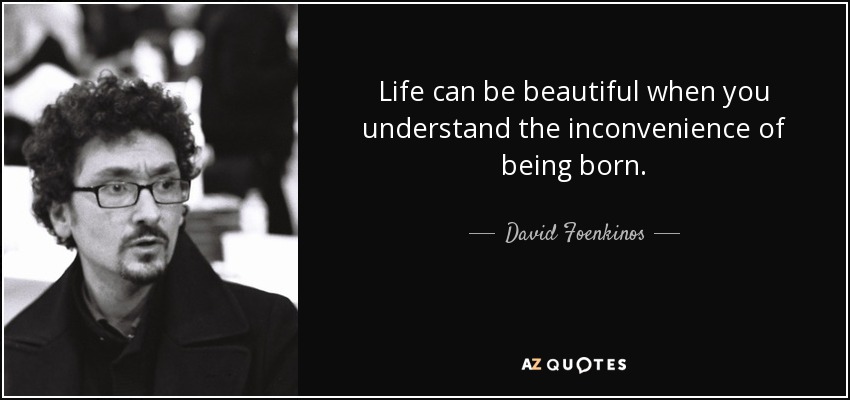 Life can be beautiful when you understand the inconvenience of being born. - David Foenkinos