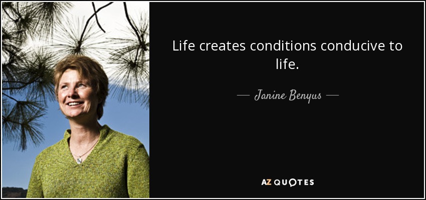 Life creates conditions conducive to life. - Janine Benyus