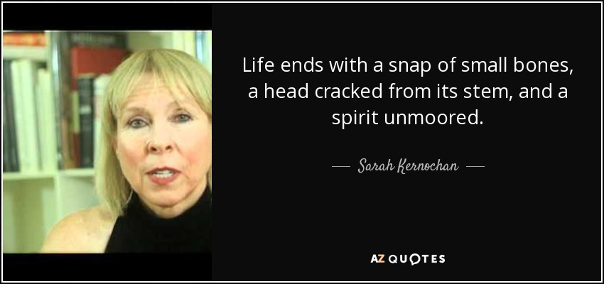 Life ends with a snap of small bones, a head cracked from its stem, and a spirit unmoored. - Sarah Kernochan