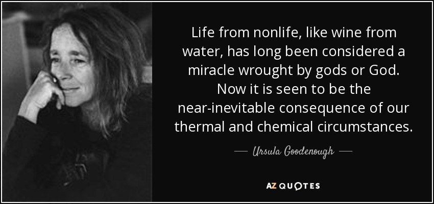 Life from nonlife, like wine from water, has long been considered a miracle wrought by gods or God. Now it is seen to be the near-inevitable consequence of our thermal and chemical circumstances. - Ursula Goodenough