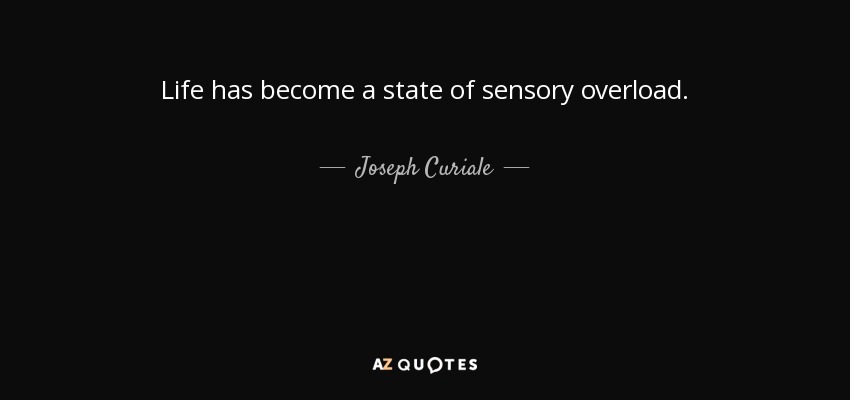 Life has become a state of sensory overload. - Joseph Curiale