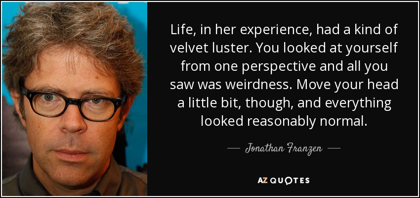 Life, in her experience, had a kind of velvet luster. You looked at yourself from one perspective and all you saw was weirdness. Move your head a little bit, though, and everything looked reasonably normal. - Jonathan Franzen