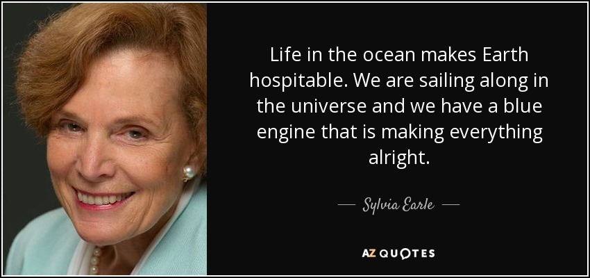 Life in the ocean makes Earth hospitable. We are sailing along in the universe and we have a blue engine that is making everything alright. - Sylvia Earle