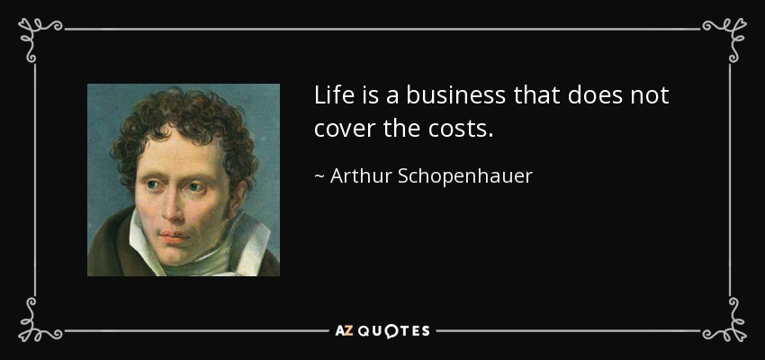 Life is a business that does not cover the costs. - Arthur Schopenhauer