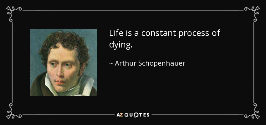 Life is a constant process of dying. - Arthur Schopenhauer