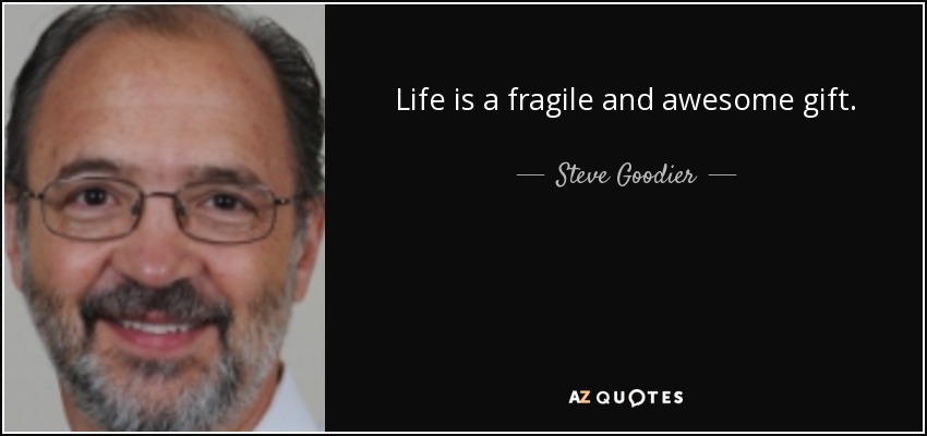 Life is a fragile and awesome gift. - Steve Goodier