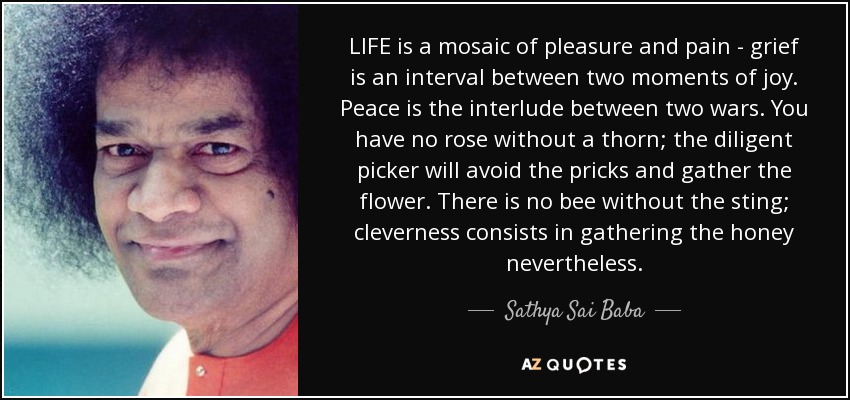 LIFE is a mosaic of pleasure and pain - grief is an interval between two moments of joy. Peace is the interlude between two wars. You have no rose without a thorn; the diligent picker will avoid the pricks and gather the flower. There is no bee without the sting; cleverness consists in gathering the honey nevertheless. - Sathya Sai Baba