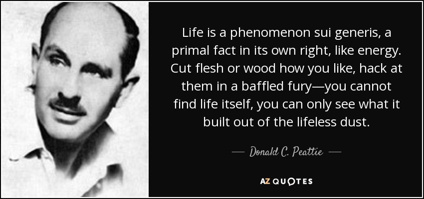 Life is a phenomenon sui generis, a primal fact in its own right, like energy. Cut flesh or wood how you like, hack at them in a baffled fury—you cannot find life itself, you can only see what it built out of the lifeless dust. - Donald C. Peattie
