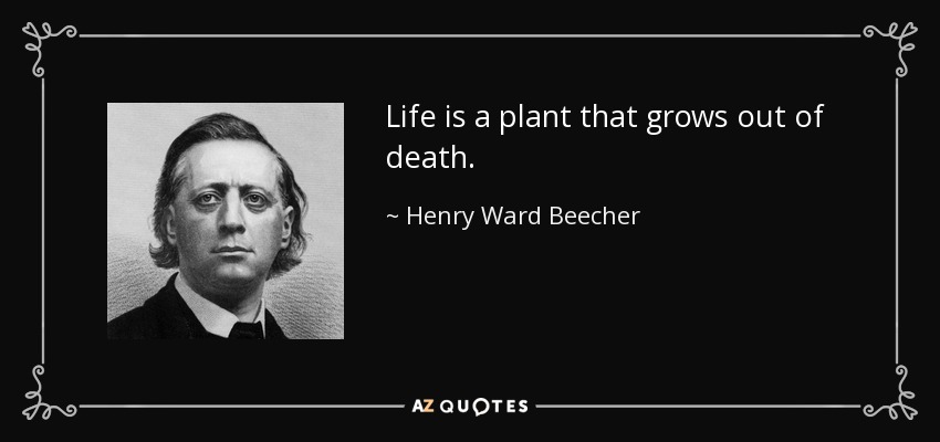Life is a plant that grows out of death. - Henry Ward Beecher