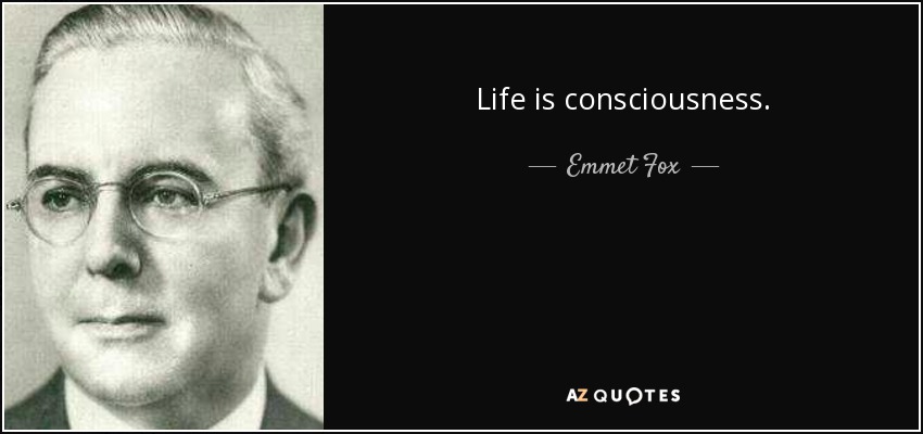 Life is consciousness. - Emmet Fox
