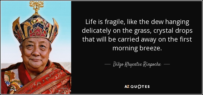Life is fragile, like the dew hanging delicately on the grass, crystal drops that will be carried away on the first morning breeze. - Dilgo Khyentse Rinpoche