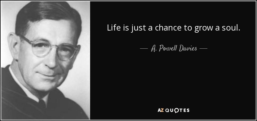 Life is just a chance to grow a soul. - A. Powell Davies