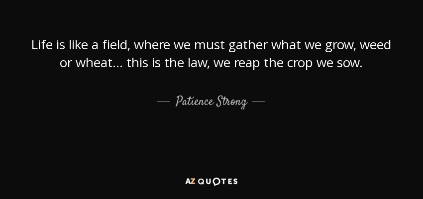 Life is like a field, where we must gather what we grow, weed or wheat... this is the law, we reap the crop we sow. - Patience Strong