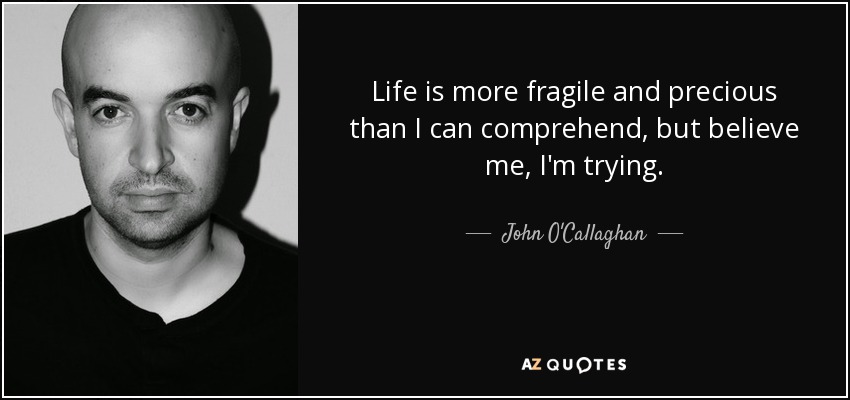 Life is more fragile and precious than I can comprehend, but believe me, I'm trying. - John O'Callaghan