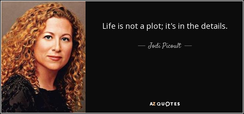 Life is not a plot; it's in the details. - Jodi Picoult
