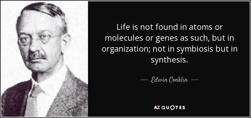Life is not found in atoms or molecules or genes as such, but in organization; not in symbiosis but in synthesis. - Edwin Conklin