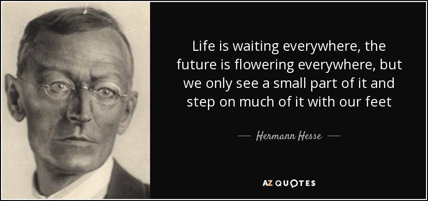 Life is waiting everywhere, the future is flowering everywhere, but we only see a small part of it and step on much of it with our feet - Hermann Hesse