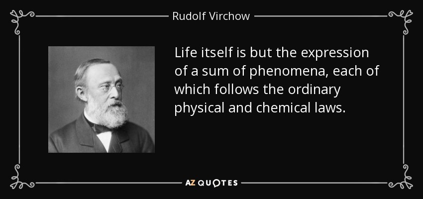 Life itself is but the expression of a sum of phenomena, each of which follows the ordinary physical and chemical laws. - Rudolf Virchow