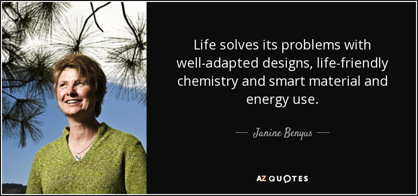 Life solves its problems with well-adapted designs, life-friendly chemistry and smart material and energy use. - Janine Benyus