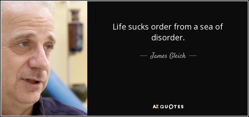 Life sucks order from a sea of disorder. - James Gleick