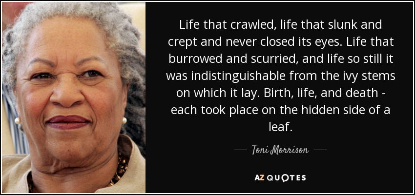Life that crawled, life that slunk and crept and never closed its eyes. Life that burrowed and scurried, and life so still it was indistinguishable from the ivy stems on which it lay. Birth, life, and death - each took place on the hidden side of a leaf. - Toni Morrison