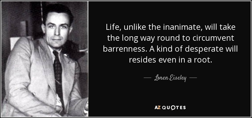 Life, unlike the inanimate, will take the long way round to circumvent barrenness. A kind of desperate will resides even in a root. - Loren Eiseley