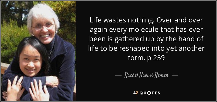 Life wastes nothing. Over and over again every molecule that has ever been is gathered up by the hand of life to be reshaped into yet another form. p 259 - Rachel Naomi Remen