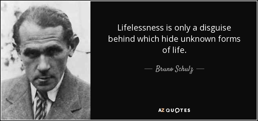 Lifelessness is only a disguise behind which hide unknown forms of life. - Bruno Schulz