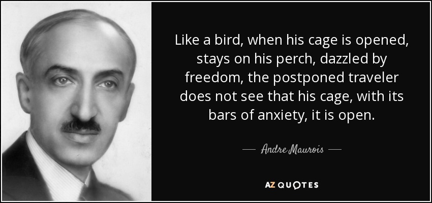 Like a bird, when his cage is opened, stays on his perch, dazzled by freedom, the postponed traveler does not see that his cage, with its bars of anxiety, it is open. - Andre Maurois