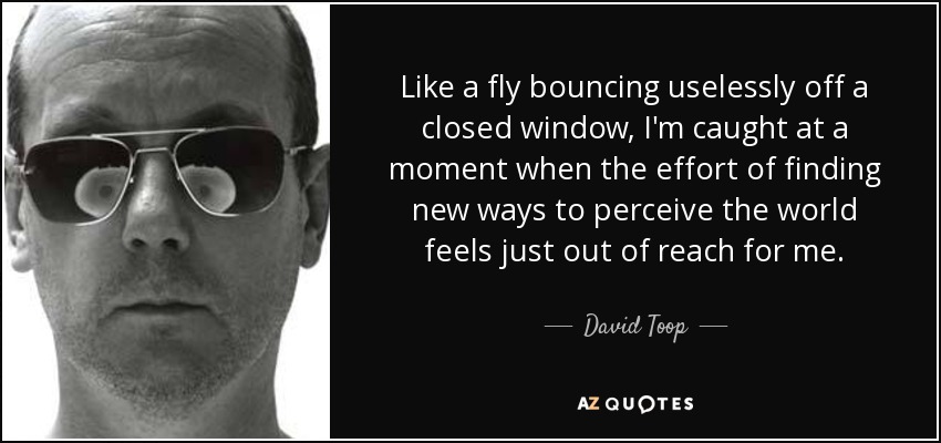 Like a fly bouncing uselessly off a closed window, I'm caught at a moment when the effort of finding new ways to perceive the world feels just out of reach for me. - David Toop