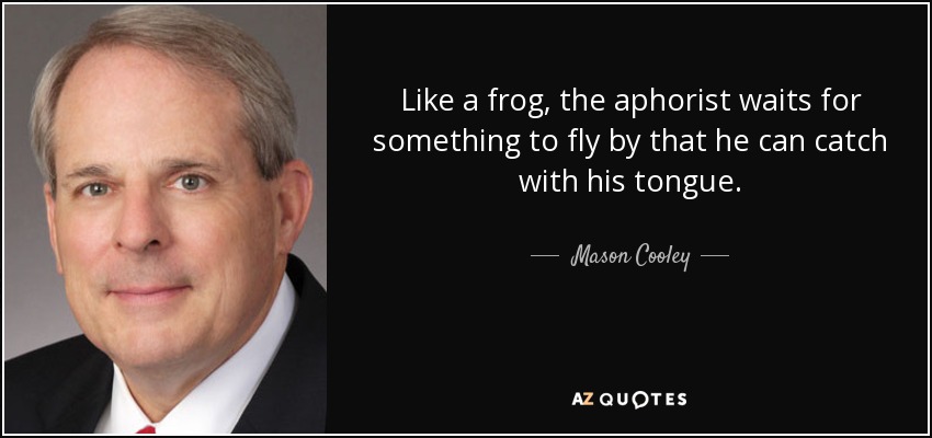 Like a frog, the aphorist waits for something to fly by that he can catch with his tongue. - Mason Cooley