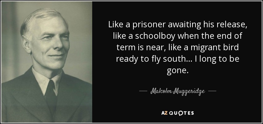 Like a prisoner awaiting his release, like a schoolboy when the end of term is near, like a migrant bird ready to fly south ... I long to be gone. - Malcolm Muggeridge